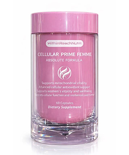 Dr Trust USA Home Spa Face Steam Vaporizer